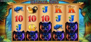 Panther Pays